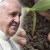 Group logo of Pope Francis: Social and Environmental Sustanability toward Peace